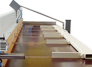 Langzauner LZ5-2E Veneer Saw